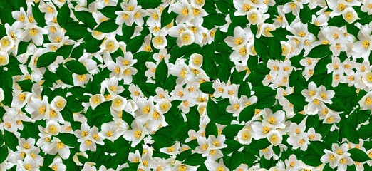 floral abstract with green leafs background 