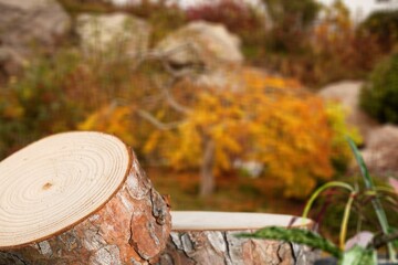 Empty wood podiumin nature outdoor garden