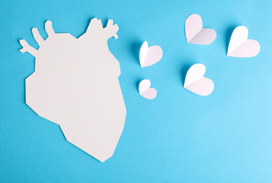 Paper cut Anatomical heart with hearts on blue background. Love concept
