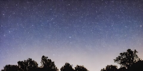 Fototapeta na wymiar stars in evening
