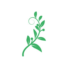 Green leaves Botanical logo vector and symbol design