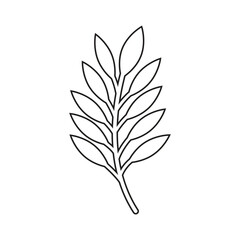 Fototapeta na wymiar Green leaves Botanical logo vector and symbol design