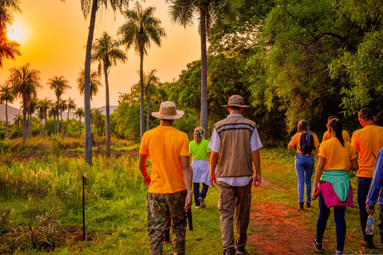 group of people walking in the trail