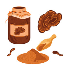 Reishi mushroom, broth, powder. Vector set on a white background