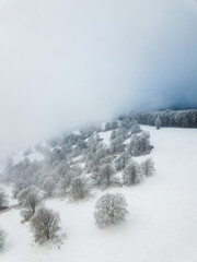 Winter landscape with snow covered trees in the mountains. Wonderful foggy scene from above.