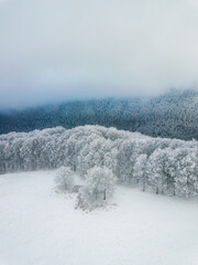 Snow covered forest. Minimalistic landscape from above. Aerial view of foggy mountains. Abstract, vintage style.