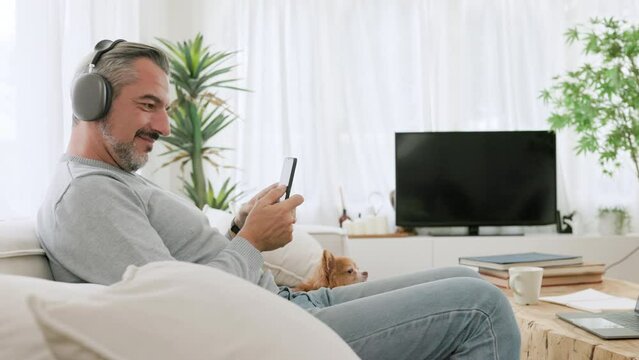 Middle-aged man in headphones listening to the music on his mobile phone or smartphone with his chihuahua dog at home, Mature Adult male relaxing with his pet on sofa.