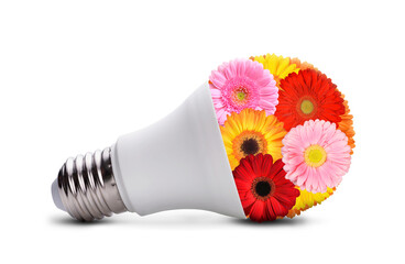 Energy saving light bulb with flowers isolated on transparent background, PNG.