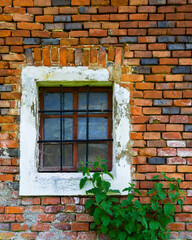 old weathered brick wall with barred window,