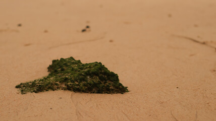 rock washed away by the waves at the beach