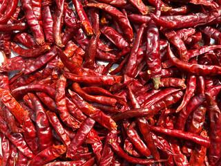 Peppers Collection Red Hot Peppers, Closeup