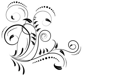 Calligrafic flourishes on white background.