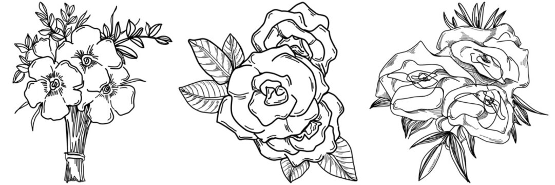 Vector Flowers summer. Isolated botanical flower, leaves. Black and white engraved sketch ink art. Leaf plant botanical garden floral foliage. Wildflower drawing leaf illustration element.