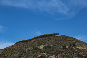 Hill with trees and blue sky