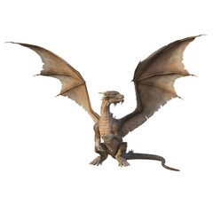 3d render of a dragon, gray magical creature