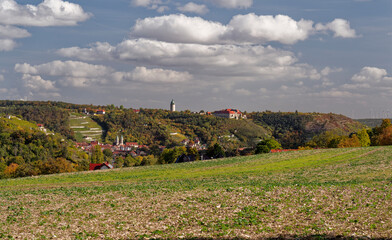 Naturschutzgebiet Schafberg und Nüssenberg beim Weinort Zscheiplitz, Burgenlandkreis,...
