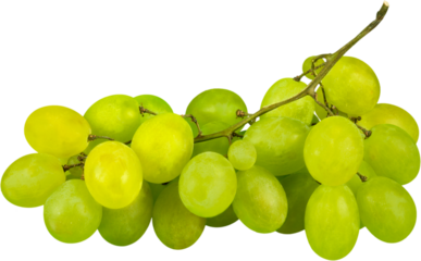White Grape Cluster - Isolated