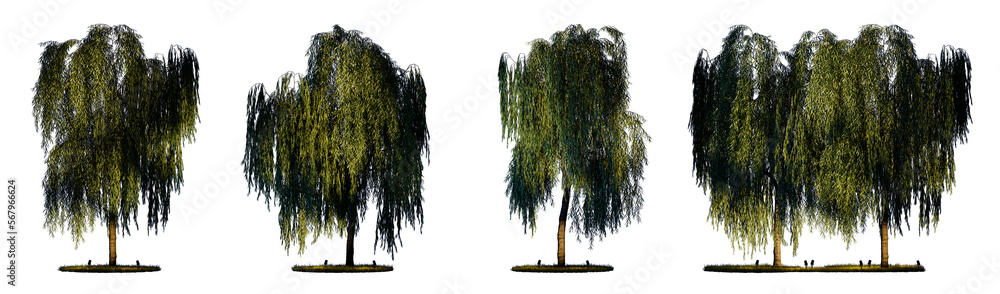Poster night scene landscape element for 3d architectural visualization. weeping willow tree with outdoor u