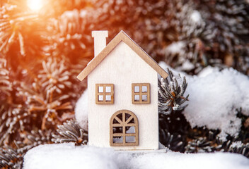 Naklejka premium symbol of the house stands on a snow-covered fir branches 