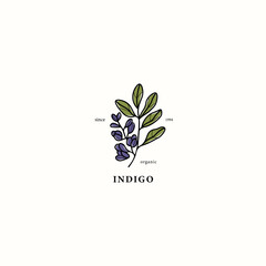Line art indigo plant drawing - obrazy, fototapety, plakaty