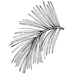 Obraz premium Wildflower fir-needle tree pattern in a one line style. Outline of the plant: Black and white engraved ink art needle. Sketch wild flower for background, texture, wrapper pattern, frame or border.