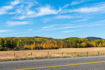 Autumn farmland