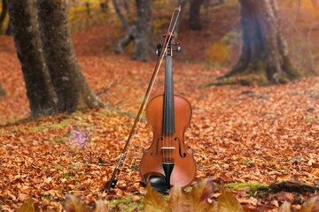 Violin musical instrument in autumn leaves