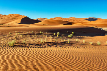 Scenic view of desert at sunrise, Sossusvlei, Namibia, Africa