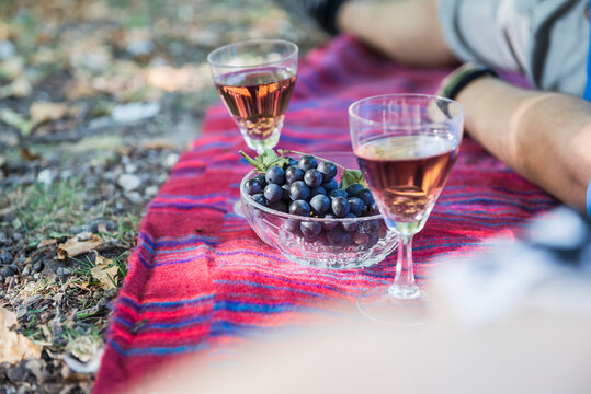 Wine and grapes on outdoor picnic blanket