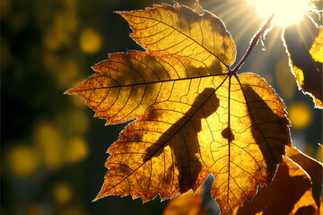 Fototapeta na wymiar Autumn leaf, season color change. Generative AI.