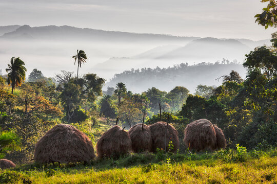 Landscape with trees and foggy mountains against sky