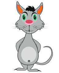 Animal rodent mouse cartoon on white background