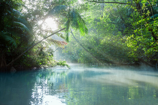 Sun shining through trees on river, Orinoco River, Orinoco Delta, Venezuela - Powered by Adobe