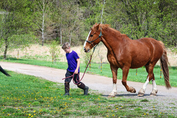 Blond tween boy leading his brown horse in the country.