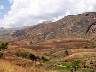 Fototapeta na wymiar The landscape around Anjazafotsy, small fields in the valleys. Madagascar