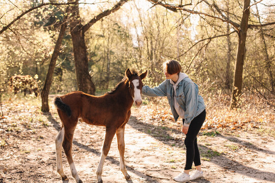 Young woman petting little horse foal outdoors in forest
