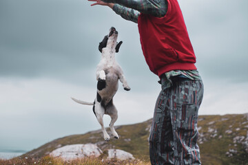 Spotty dog jumps in air in mountain ocean view in Scotland