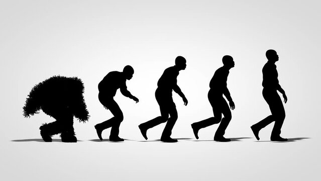 Human Evolution Walk cycle  silhouette Loop