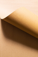 Monochrome composition formed by kraft paper cardboard and the curvature it forms when folded.