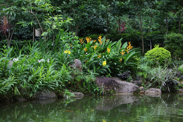 a nature concept, the flower at the garden