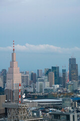 Fototapeta na wymiar Tokyo citi landscape in early winter