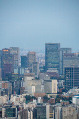 Tokyo citi landscape in early winter