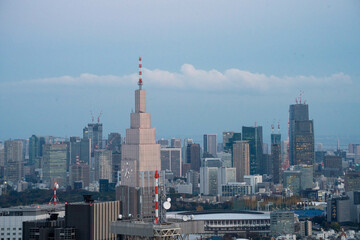 Obraz premium Tokyo citi landscape in early winter