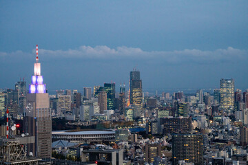 Naklejka premium Tokyo citi landscape in early winter