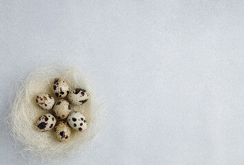 Quail eggs in nest on gray background. Easter concept. Farm products