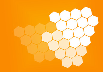 illustration of a honeycomb