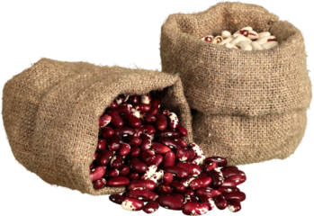 White and Red Beans in a Sack - Isolated