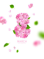 International Women's Day. Numeral 8 from beautiful pink hydrangea flowers, green leaves on white background. With clipping path. Minimalistic concept 8 March holiday. Flower Greeting card 