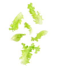 Poster Fresh salad green lettuce leaves falling in the air isolated on transparent background. PNG © PotaeRin