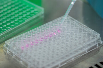 Micropipettes, petri dishes and culture plates. 